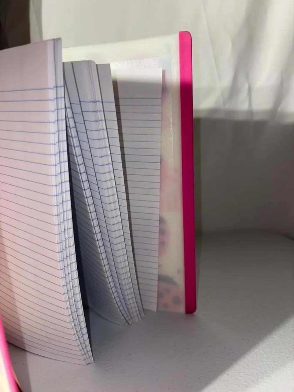 Staples 3-Ring Binder with Ladybug Pattern Cover